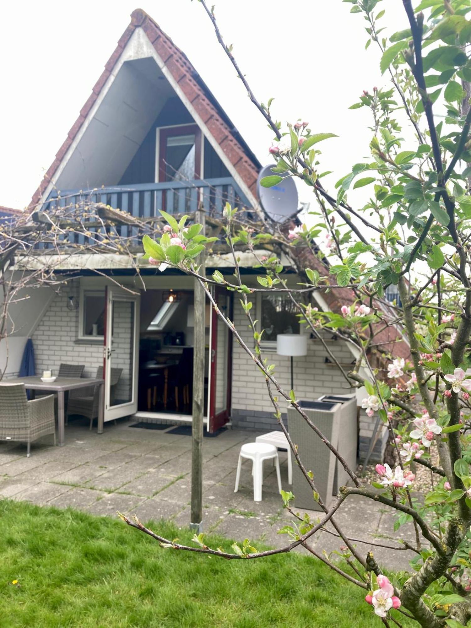 De Druif 6 Pers Holiday Home Close To The National Park Lauwersmeer Anjum Eksteriør bilde